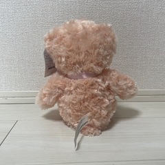 ハニーテディベア・ガールの画像