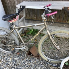 ジャントクロスバイクの画像