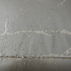 ソファーベットの画像