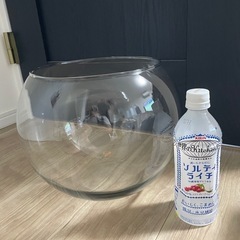 ガラス☆花瓶 水槽 用途いろいろの画像