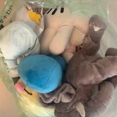 ぬいぐるみの画像
