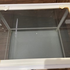 三晃商会 レプティワイルド パンテオン ホワイト WH6045(60.5×45.5×45cm)の画像