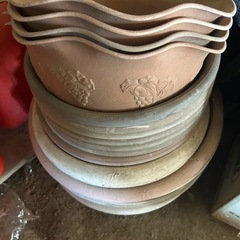 プラ鉢あげます
