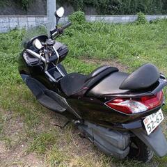 マジェスティー4d9の画像