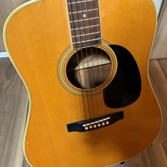 Morris W-20 アコースティックギターの画像