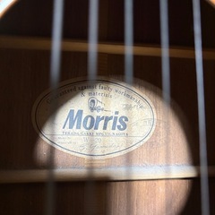 Morris W-20 アコースティックギターの画像