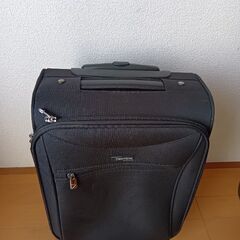 旅行用のキャリングケース　小さめの画像
