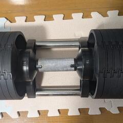 【訳あり】可変式ダンベル32kg 2個セット　ダンベルクッション2個付の画像