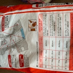 犬用紙オムツ④女の子用
の画像