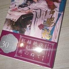 天官賜福 小説 1、2、3巻セット （4巻別料金）の画像