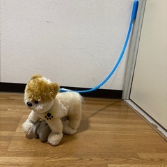 とことこワンちゃん　ポメラニアンの画像