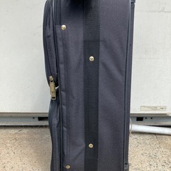 キャリーバッグの画像