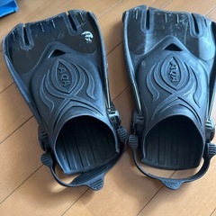 海用フィン の画像