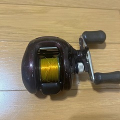 SHIMANOスコーピオン1000の画像
