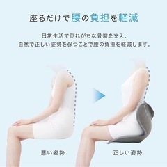 Style Standard MTG　骨盤　サポートチェア　 姿勢サポート  の画像