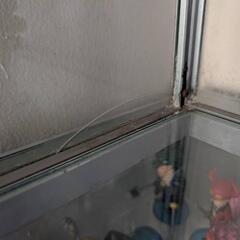 ガラスケースの画像