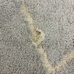 カーペットの画像