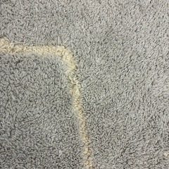 カーペットの画像