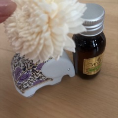 タイのお土産のメロンの芳香剤と🐘象とお花の画像
