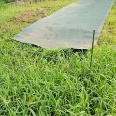ザバーン　防草シート　350 高耐久　強力タイプの画像