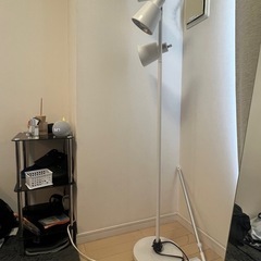フロアランプ
の画像