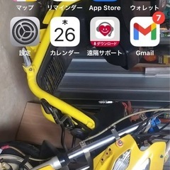 ロードフォックス🦊の画像
