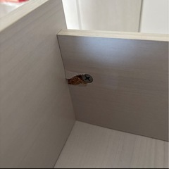 ホワイト木製キャビネット／食器棚・本棚にも◎（取りに来ていただける方）の画像