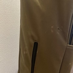 Festumキャリーワゴンの画像