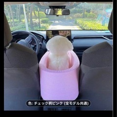 ドライブベッドの画像