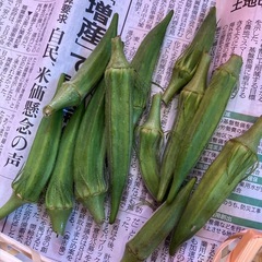 無農薬栽培採れたてオクラ＆お菓子詰め合わせの画像
