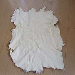 鹿の毛皮（夏毛）の画像