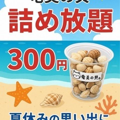 貝殻詰め放題の画像