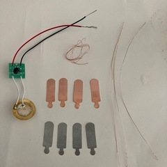 自由研究　レモン電池の画像