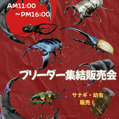 昆虫の大好きな貴方へ