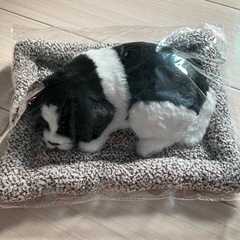 スヤスヤおねむりわんちゃんの画像