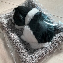スヤスヤおねむりわんちゃんの画像