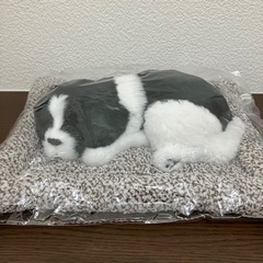 スヤスヤおねむりわんちゃんの画像