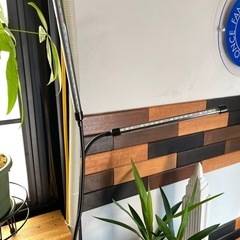 観葉植物用　ライト　観葉植物が育つライト　　の画像