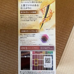 ダリア  サロンドプロ 4WB 2個セットの画像