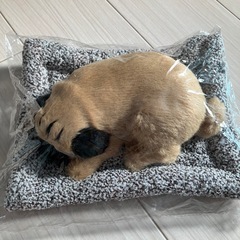 スヤスヤおねむりわんちゃん
の画像