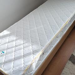 セミシングルの画像