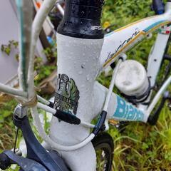  Bianchi   ビアンキ！の画像