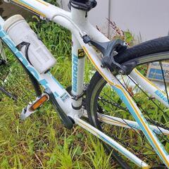  Bianchi   ビアンキ！の画像