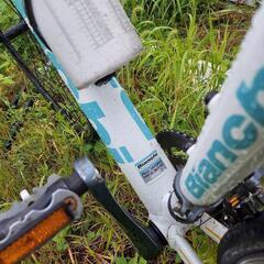  Bianchi   ビアンキ！の画像
