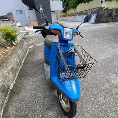 ペリカンジョグの画像