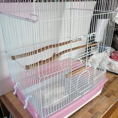 鳥かご(おまけ付き)の画像