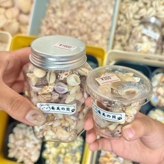 貝殻詰め放題の画像