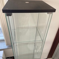【IKEA】飾り棚 DETOLF コレクションケースの画像
