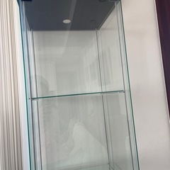 【IKEA】飾り棚 DETOLF コレクションケースの画像