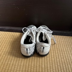 NIKE フットサルシューズの画像